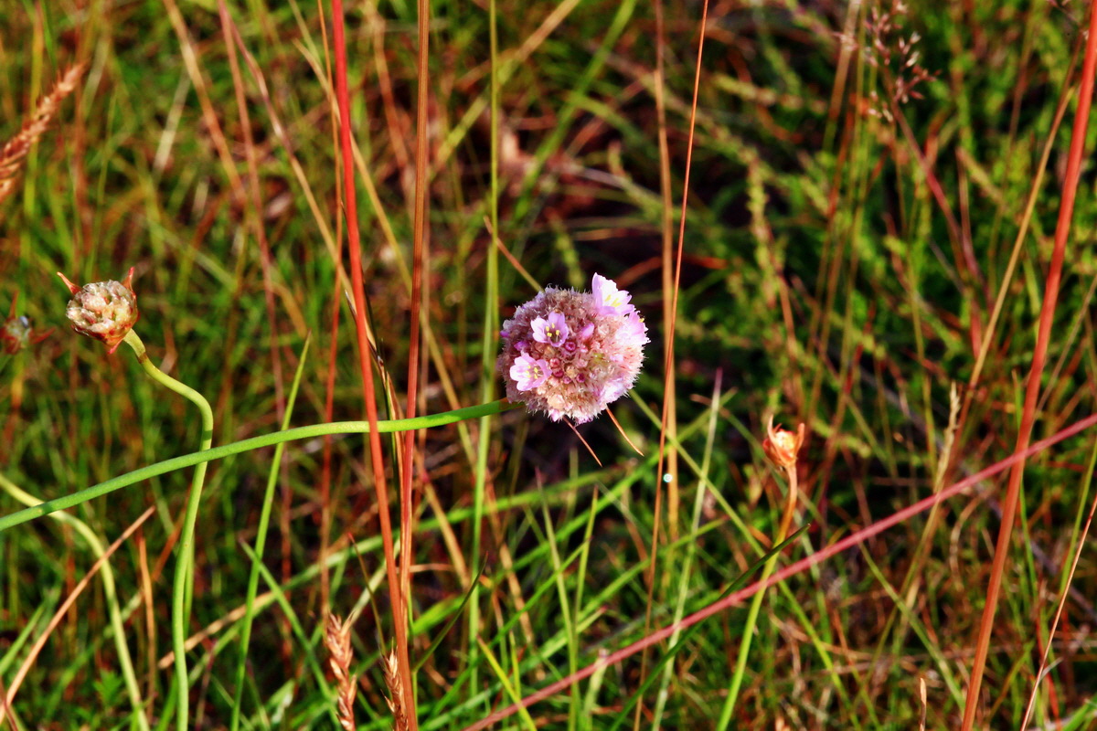 2013_07_02_00026098p_Bildgr��e �ndern