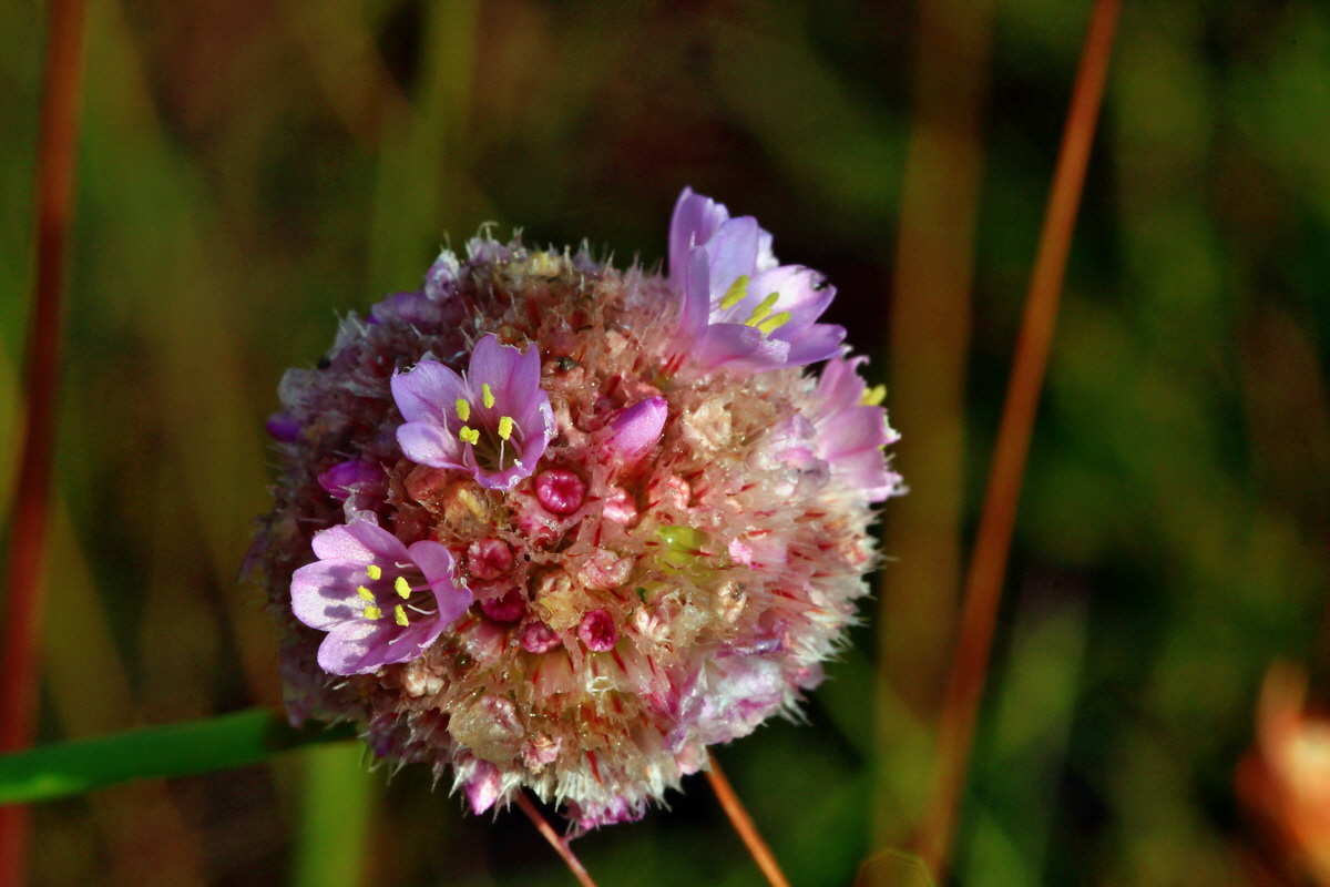 2013_07_02_00026105p_Bildgr��e �ndern