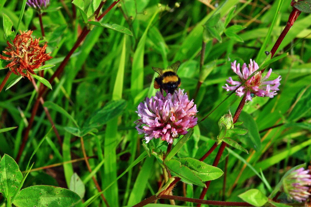 2013_07_02_00026116p_Bildgr��e �ndern