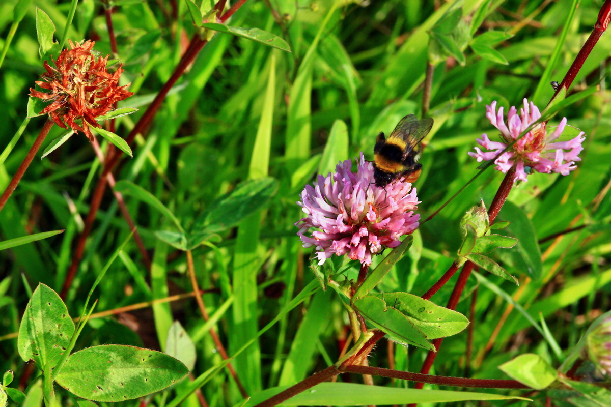 2013_07_02_00026122p_Bildgr��e �ndern