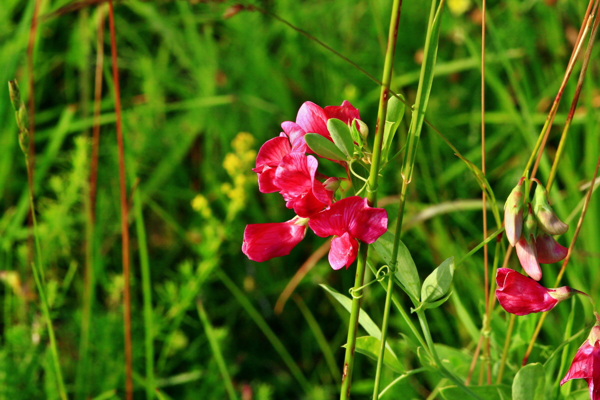 2013_07_02_00026128p_Bildgr��e �ndern