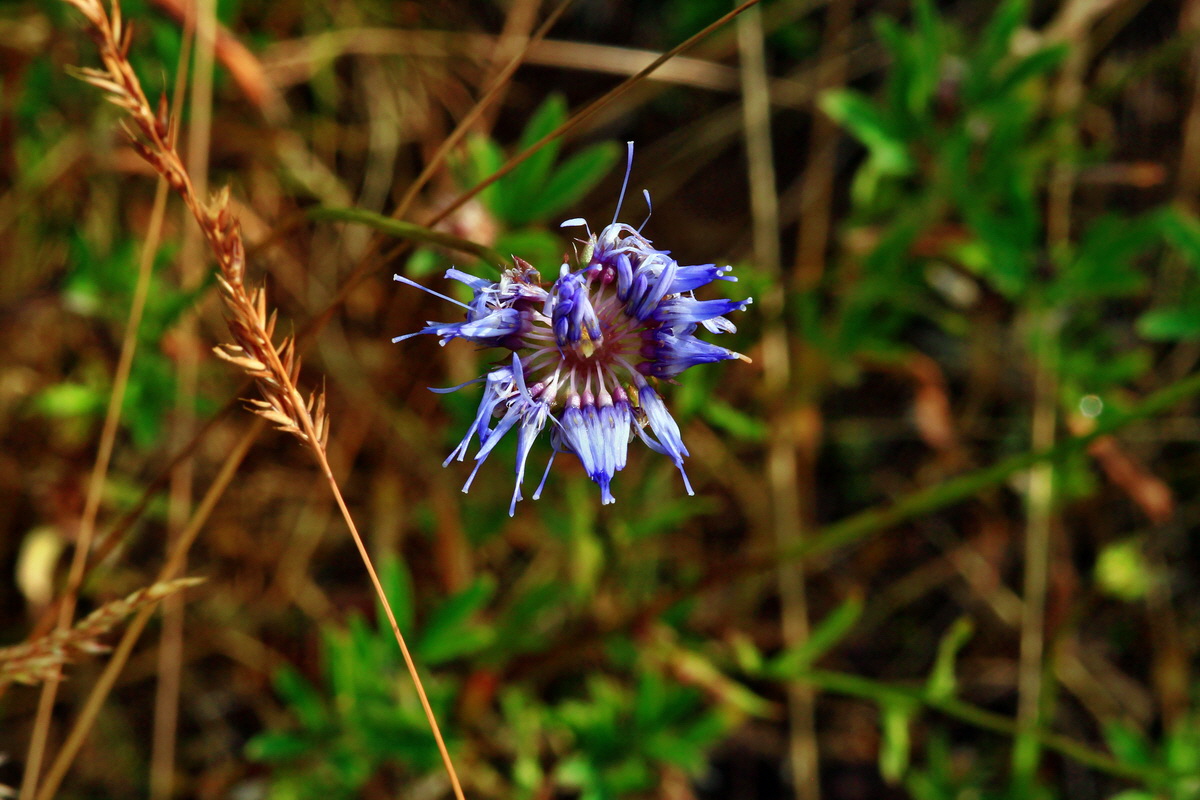 2013_07_02_00026178p_Bildgr��e �ndern