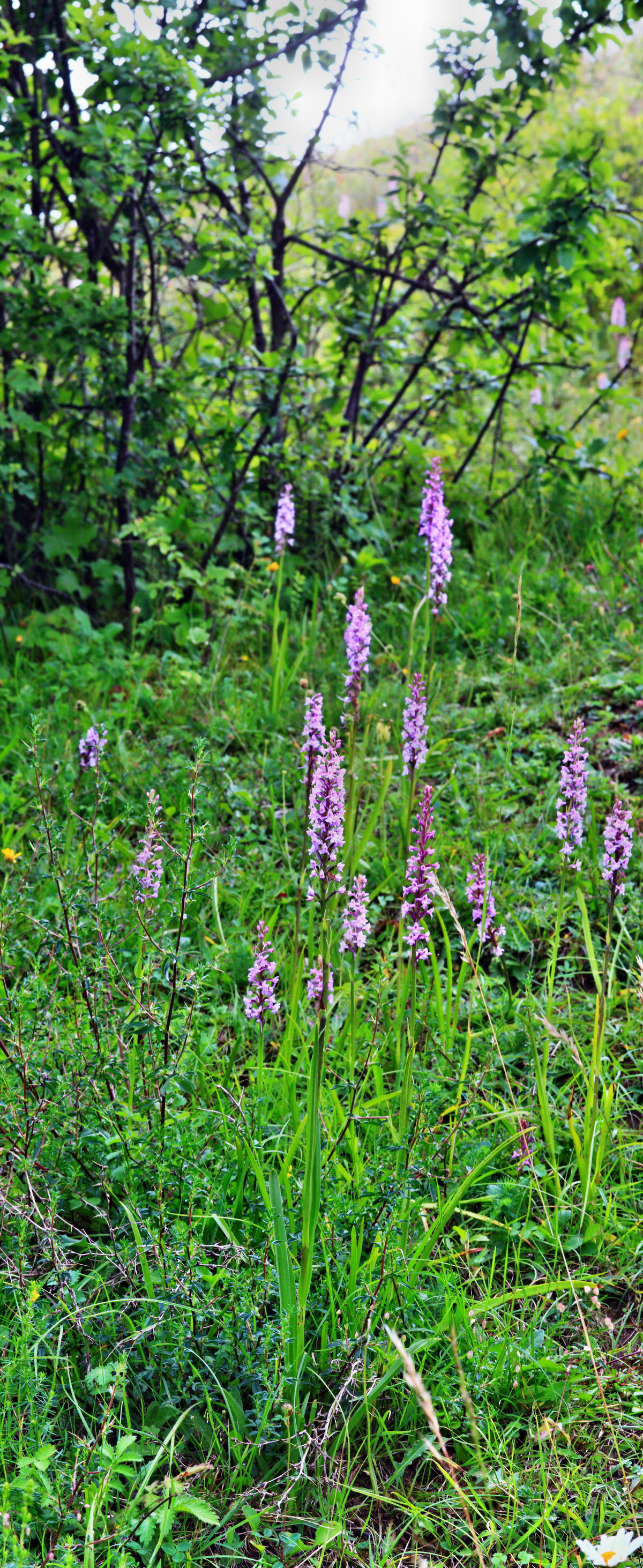 [Group 15]-2013_07_03_00026431_2013_07_03_00026442-4 imagesp_Bildgr��e �ndern