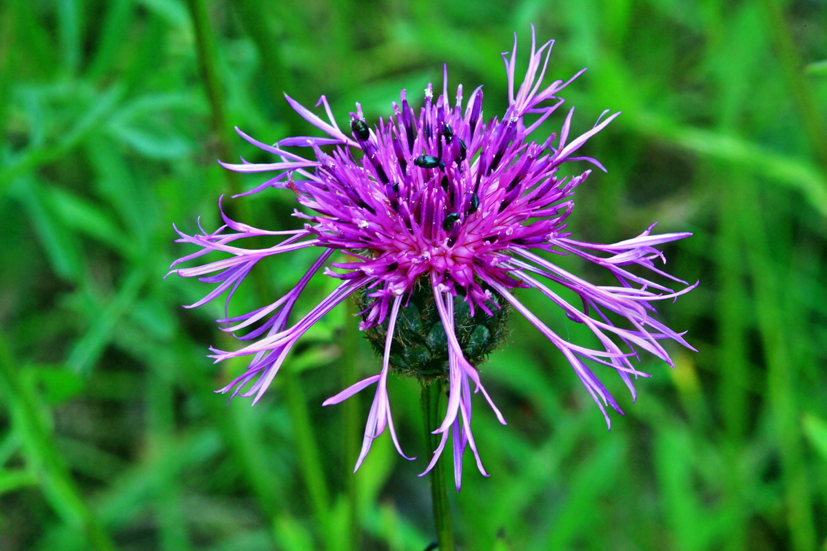 2013_07_03_00026192p_Bildgr��e �ndern