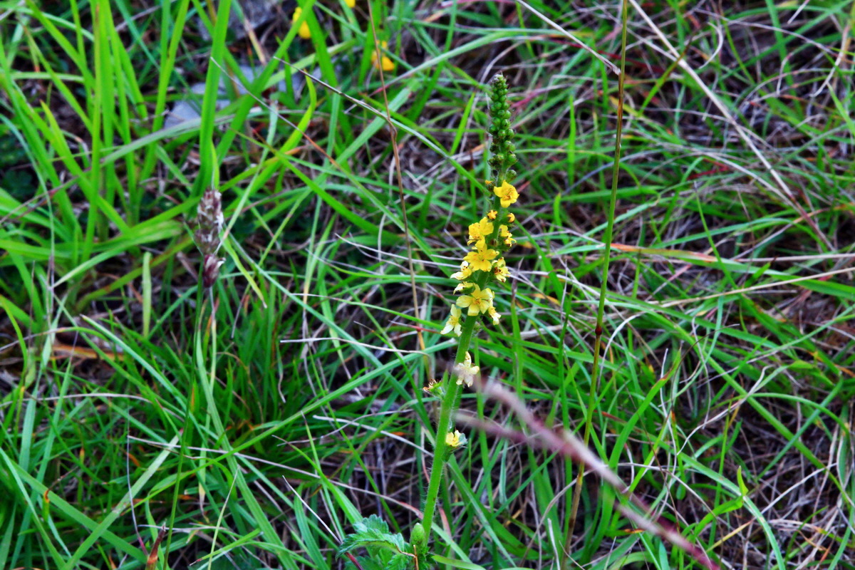 2013_07_03_00026201p_Bildgr��e �ndern