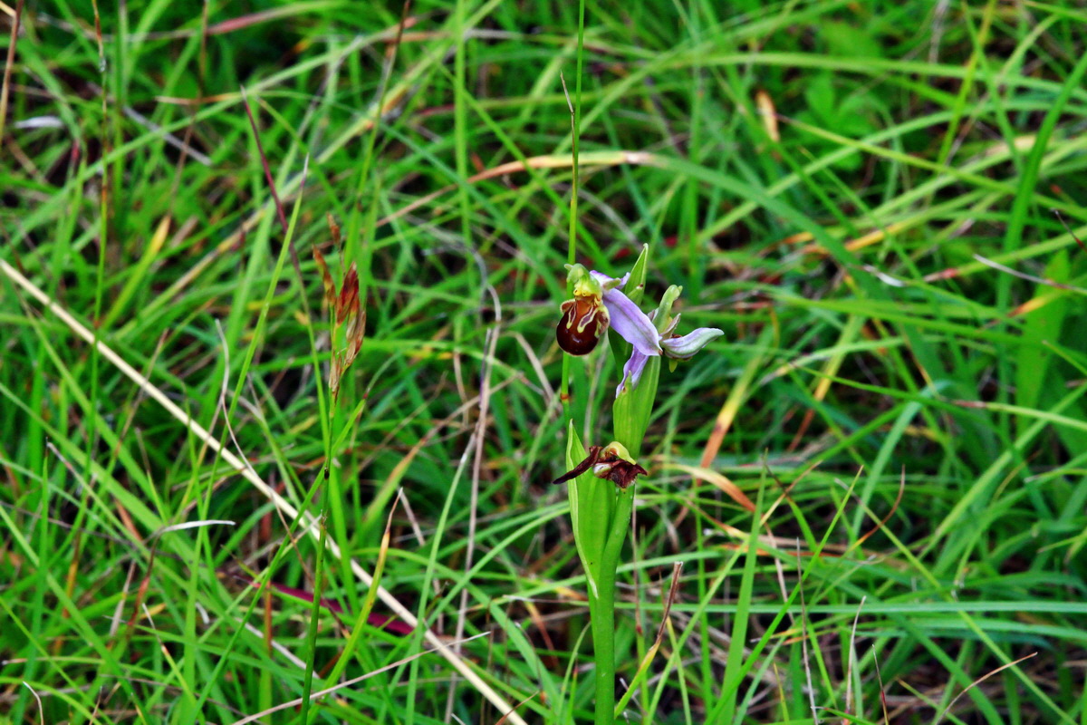 2013_07_03_00026224p_Bildgr��e �ndern