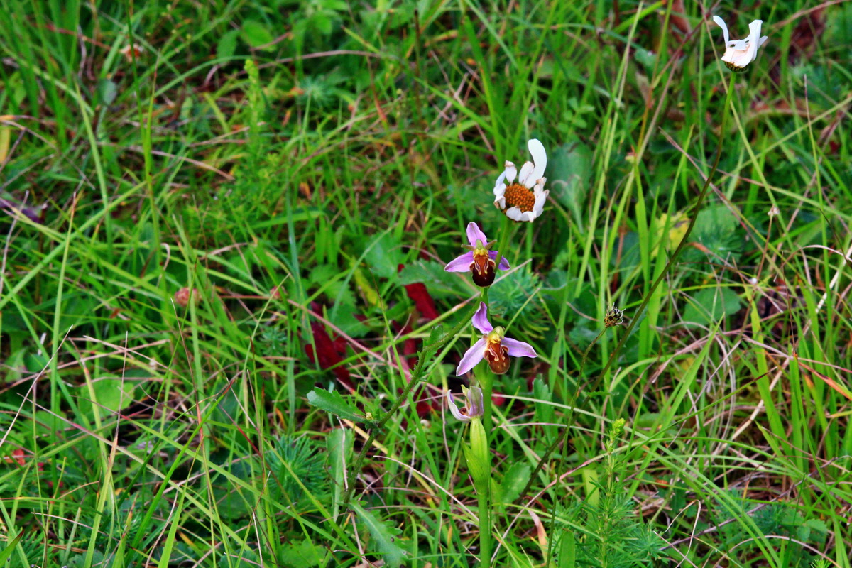 2013_07_03_00026228p_Bildgr��e �ndern