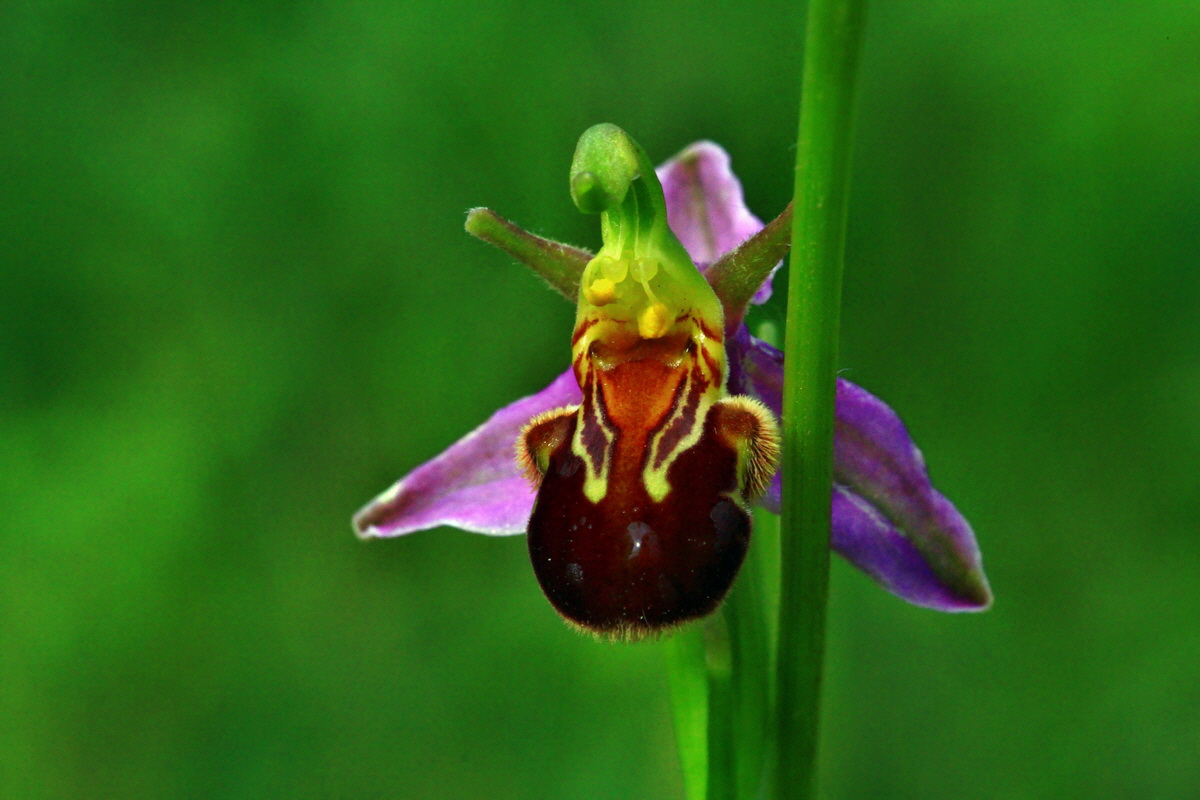 2013_07_03_00026243p_Bildgr��e �ndern