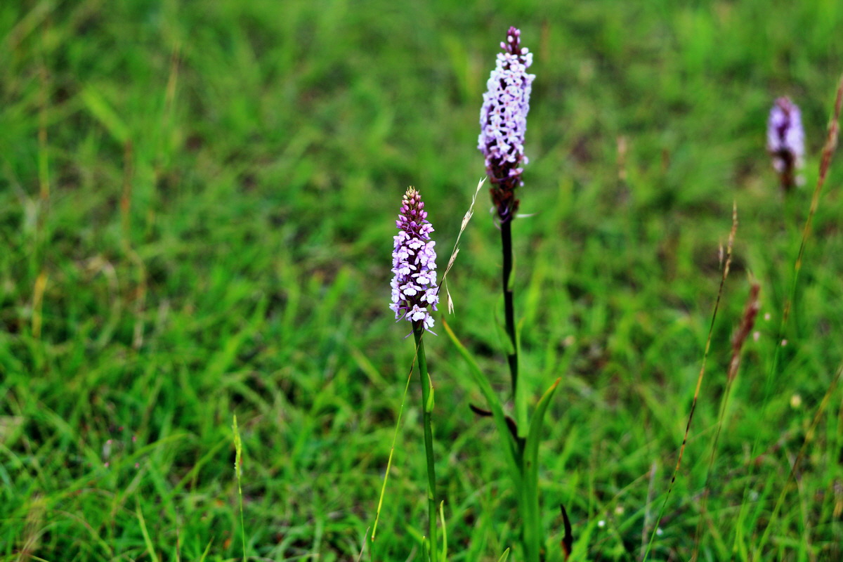 2013_07_03_00026282p_Bildgr��e �ndern