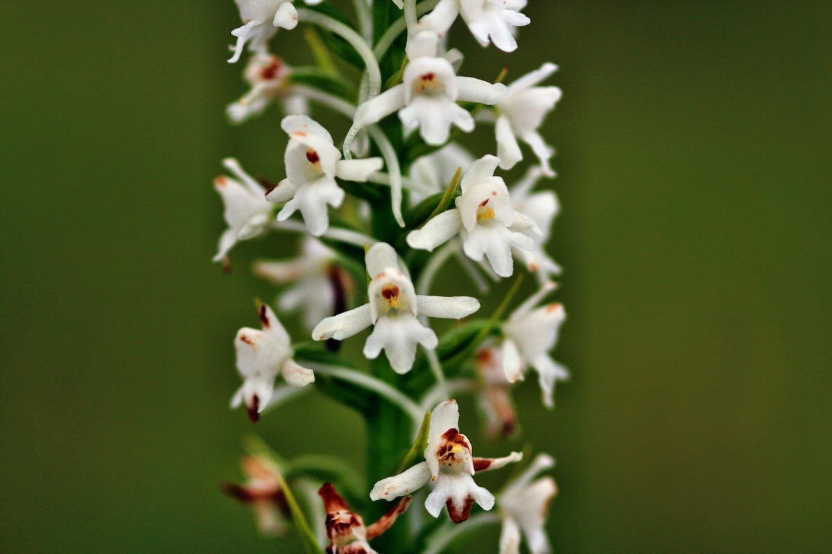 2013_07_03_00026293p_Bildgr��e �ndern