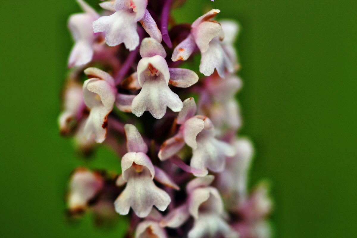 2013_07_03_00026304p_Bildgr��e �ndern