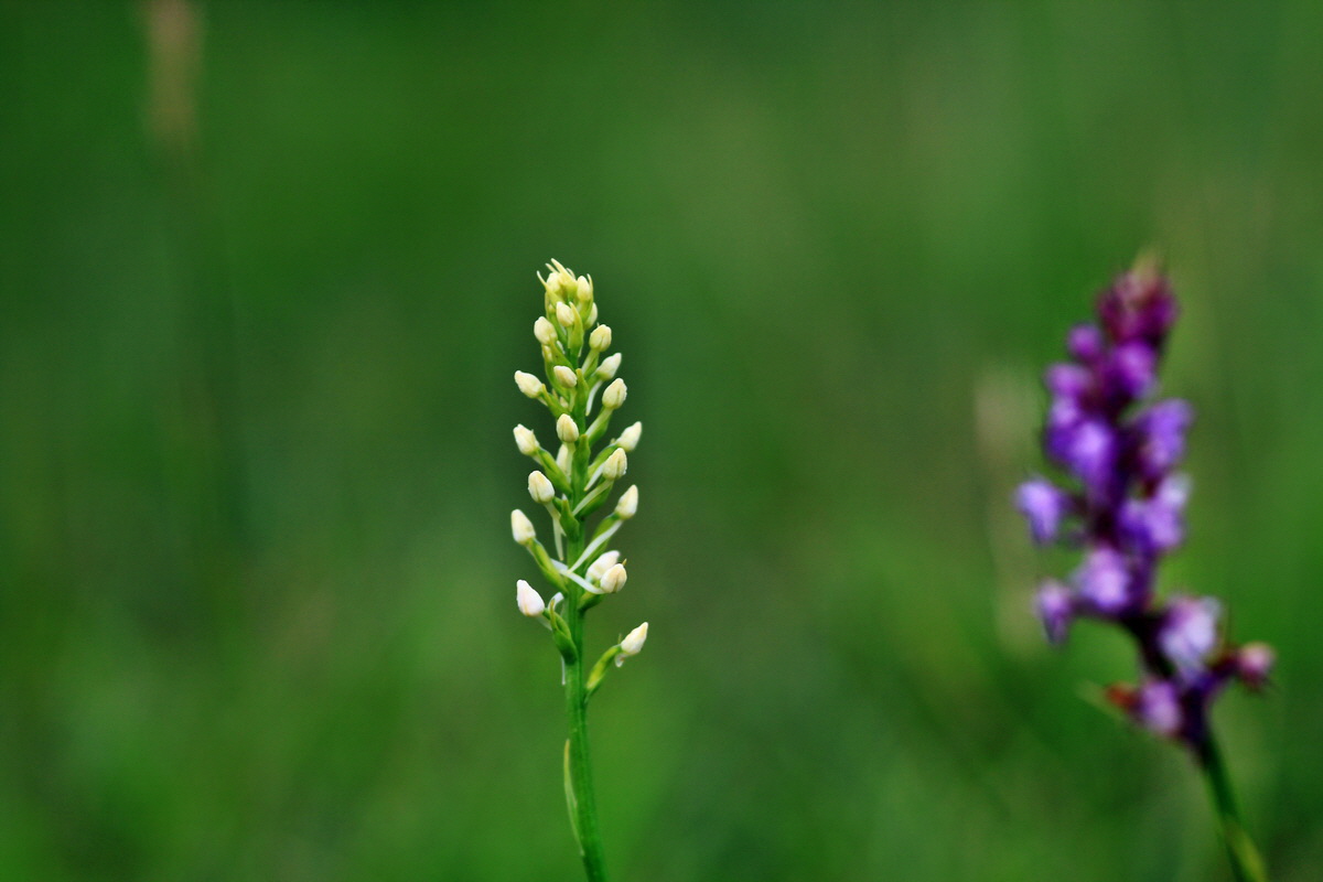 2013_07_03_00026312p_Bildgr��e �ndern