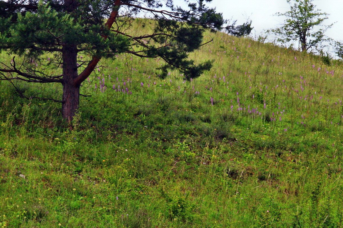 2013_07_03_00026353p_Bildgr��e �ndern