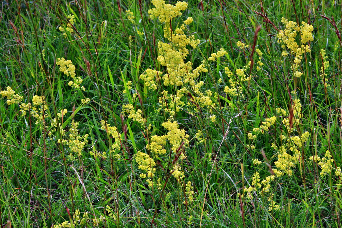 2013_07_03_00026409p_Bildgr��e �ndern