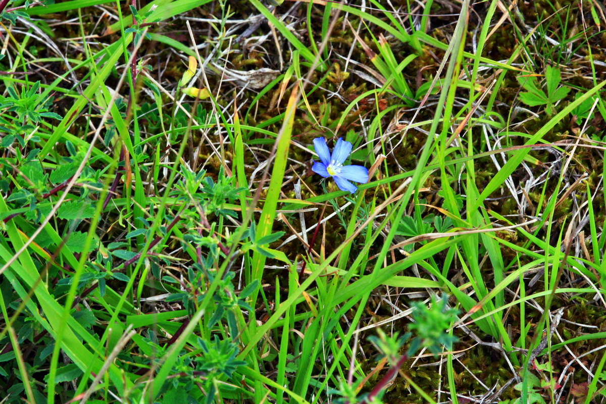 2013_07_03_00026421p_Bildgr��e �ndern