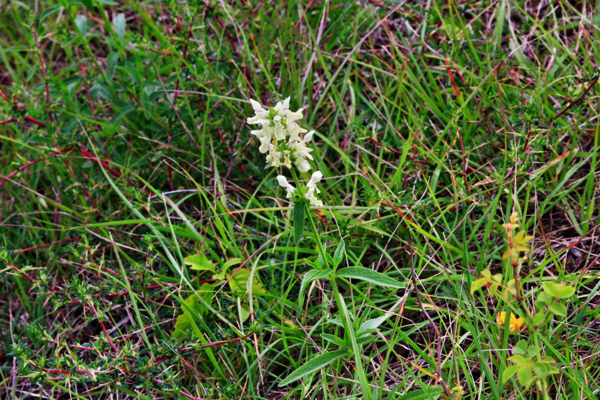 2013_07_03_00026424p_Bildgr��e �ndern