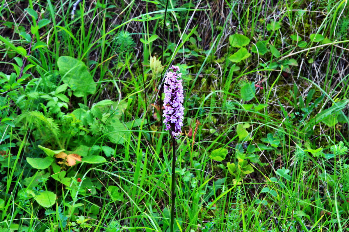 2013_07_03_00026428p_Bildgr��e �ndern