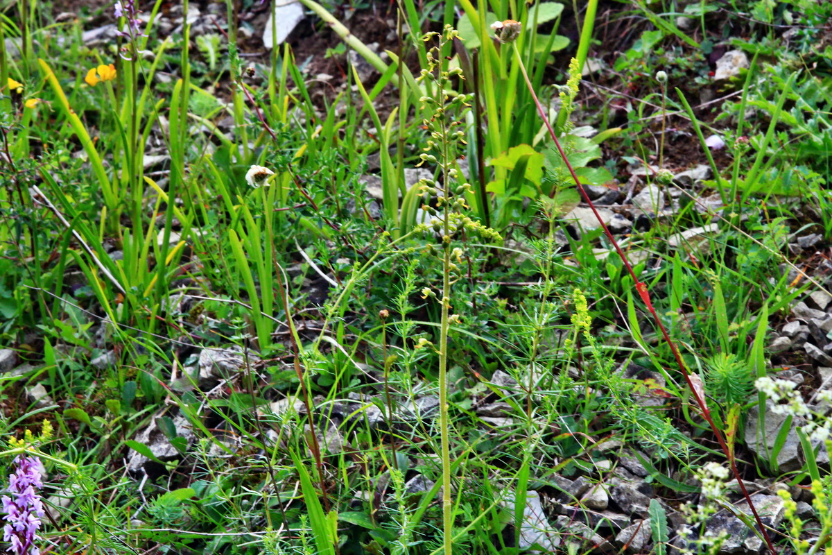 2013_07_03_00026452p_Bildgr��e �ndern