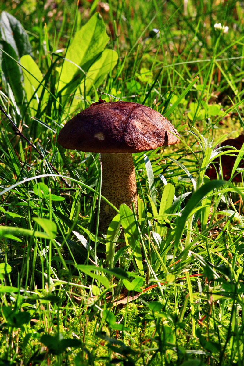 2013_07_09_00026554p_Bildgr��e �ndern