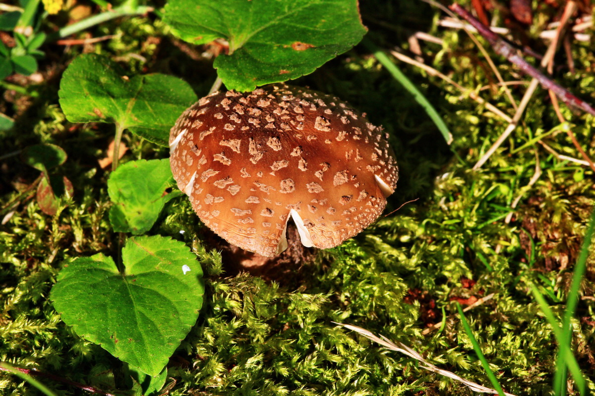 2013_07_09_00026582p_Bildgr��e �ndern