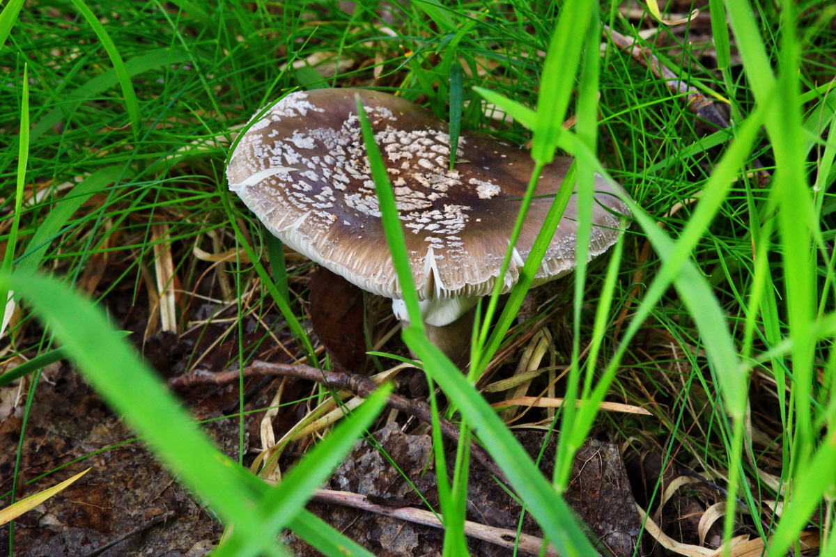 2013_07_09_00026599p_Bildgr��e �ndern