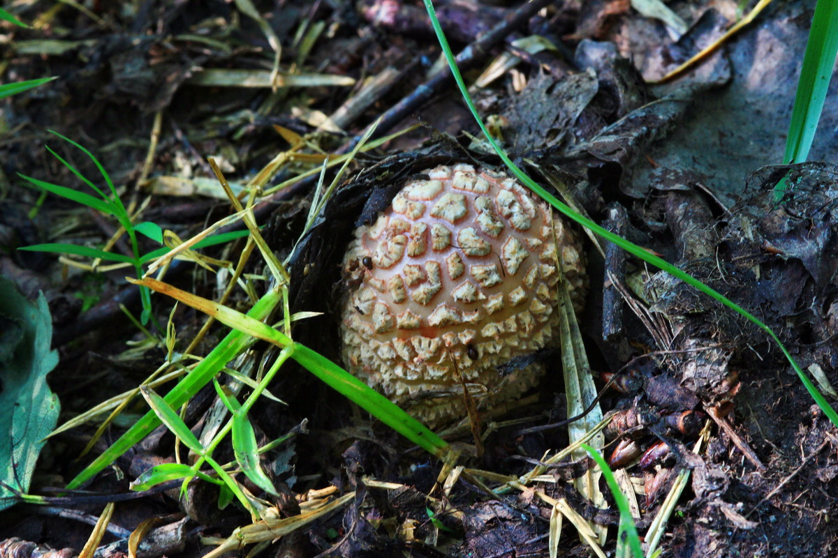 2013_07_09_00026613p_Bildgr��e �ndern