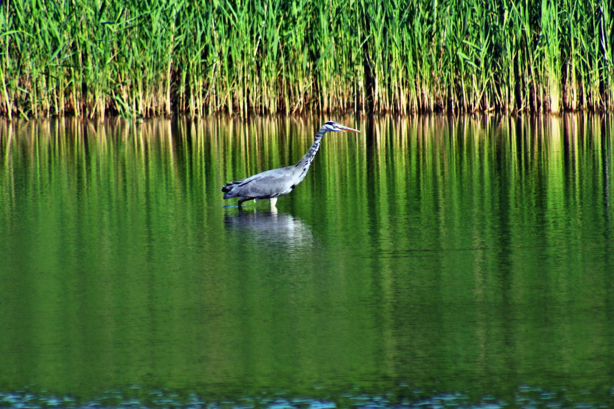 2013_07_10_00026671p_Bildgr��e �ndern