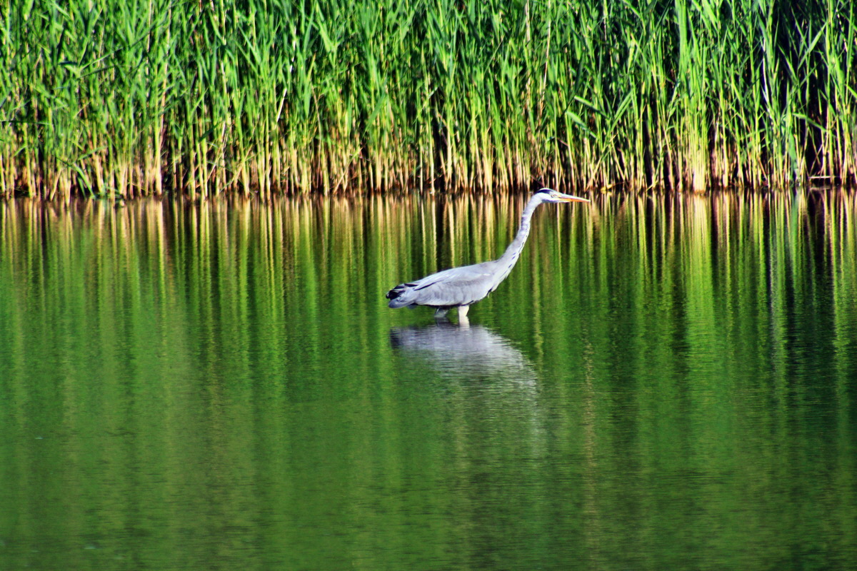 2013_07_10_00026683p_Bildgr��e �ndern