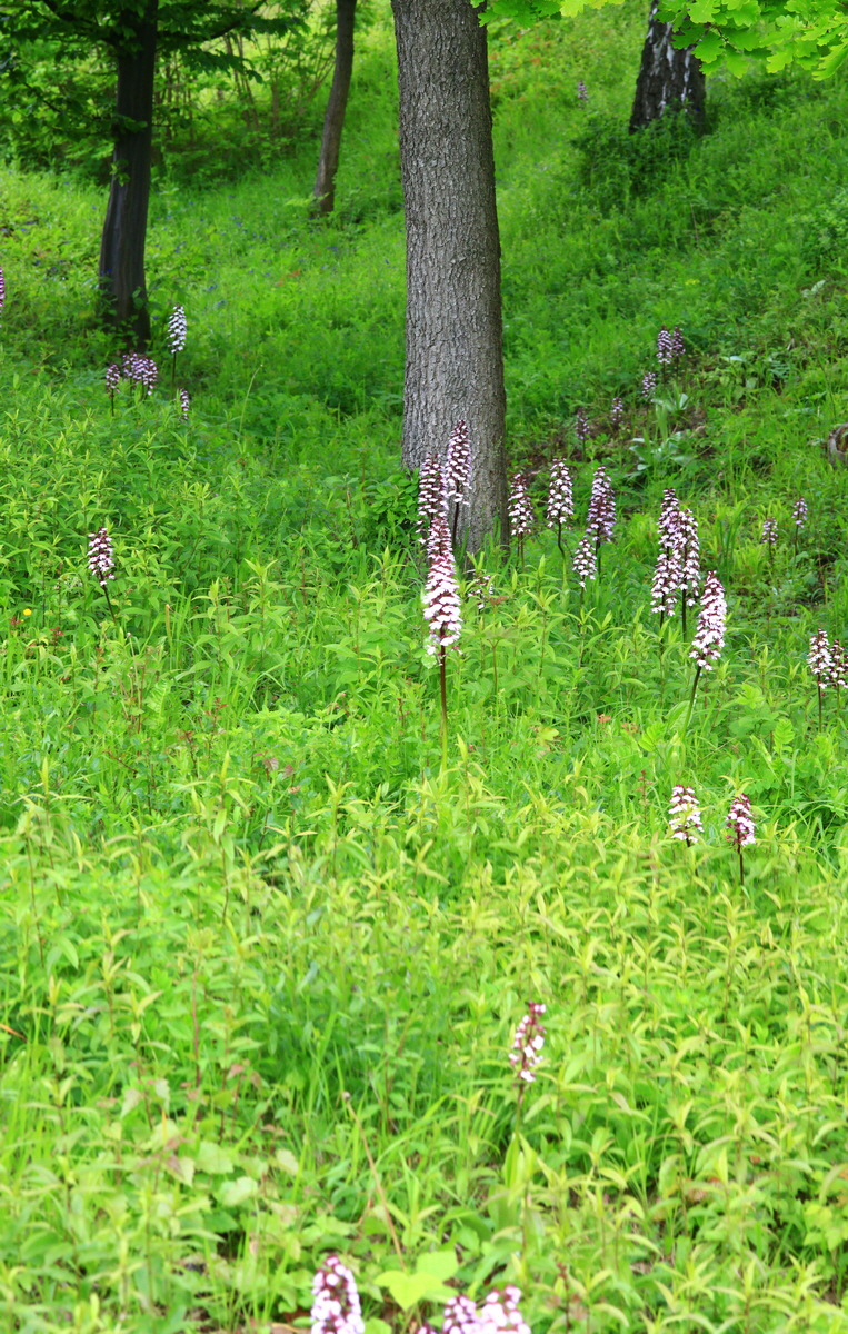 [Group 11]-2013_06_03_00018096_2013_06_03_00018102-3 images_Bildgr��e �ndern