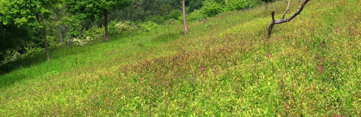 [Group 12]-2013_06_03_00018118_2013_06_03_00018128-11 images_Bildgr��e �ndern