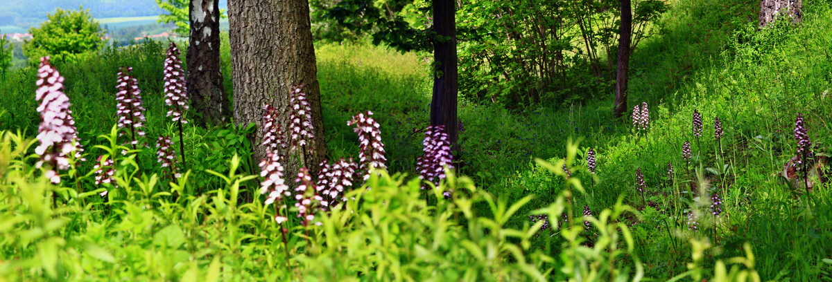 [Group 13]-2013_06_03_00018284_2013_06_03_00018293-2 images_Bildgr��e �ndern