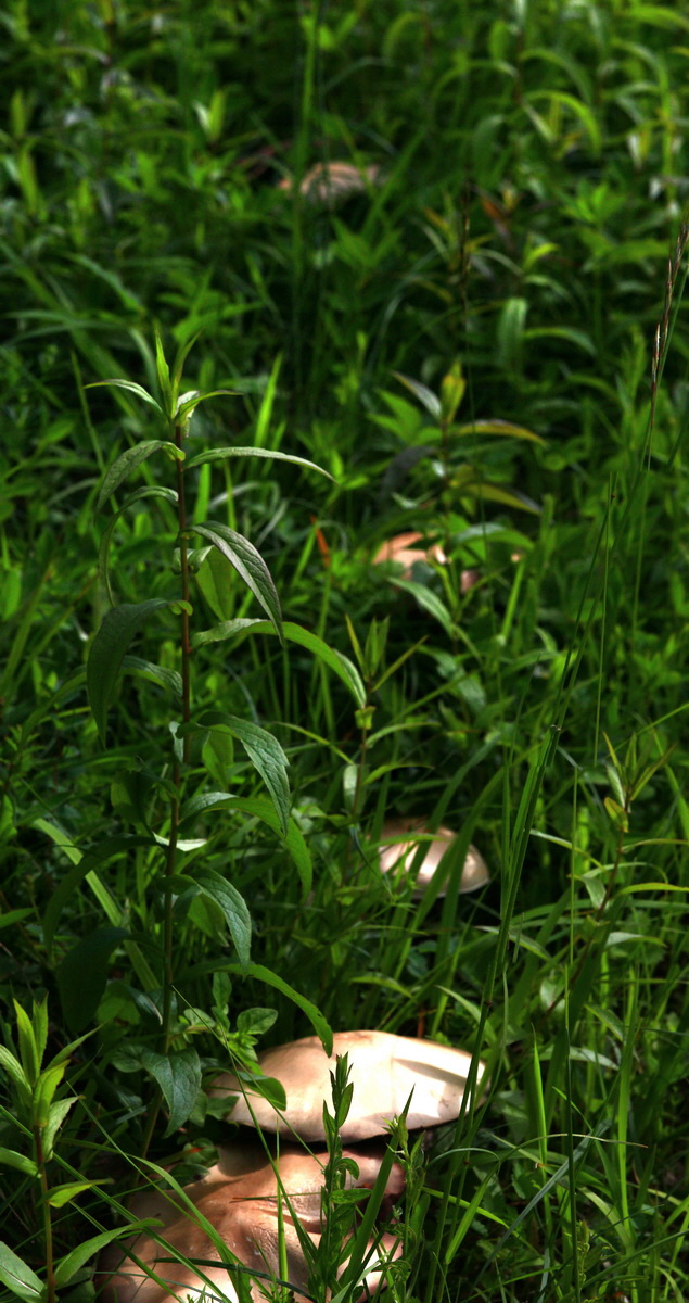 [Group 13]-2013_06_03_00018322_2013_06_03_00018330-4 images_Bildgr��e �ndern