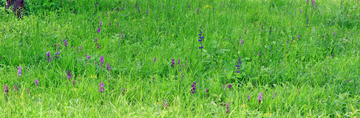 [Group 13]-2013_06_03_00018333_2013_06_03_00018340-4 images_Bildgr��e �ndern