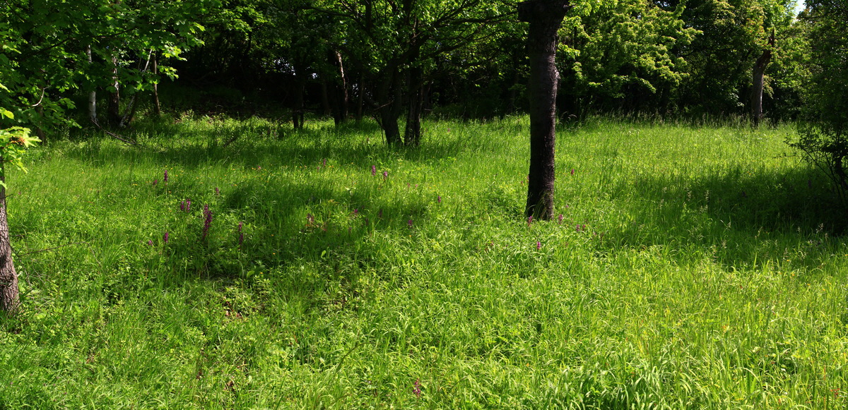 [Group 18]-2013_06_03_00018440_2013_06_03_00018451-4 images_Bildgr��e �ndern