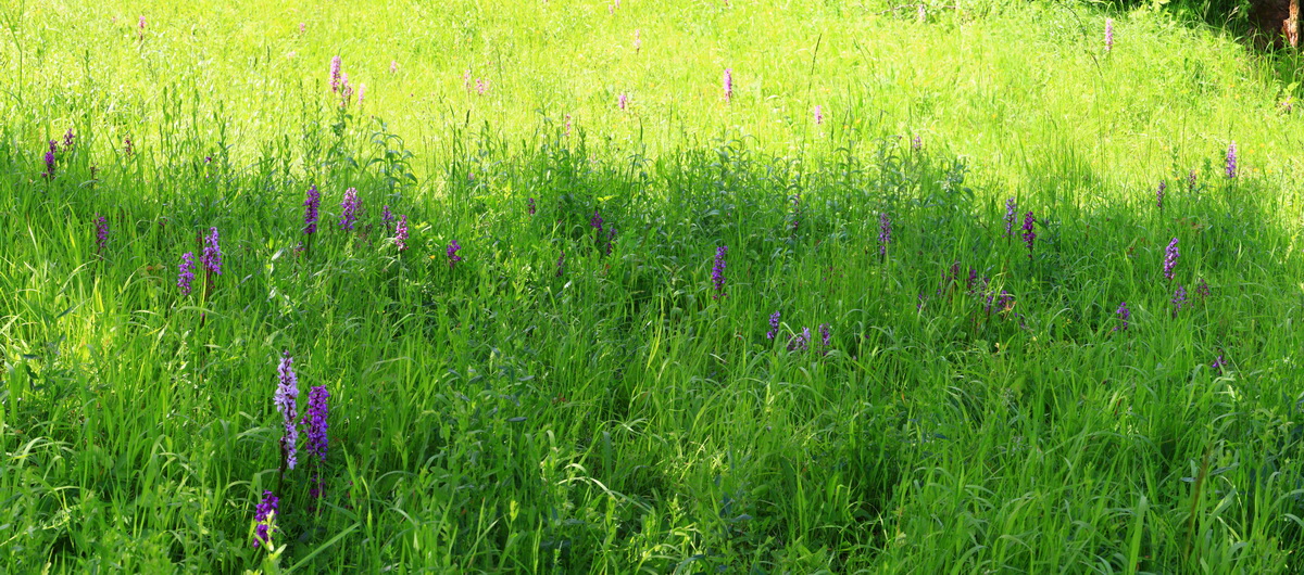 [Group 19]-2013_06_03_00018452_2013_06_03_00018467-4 images_Bildgr��e �ndern