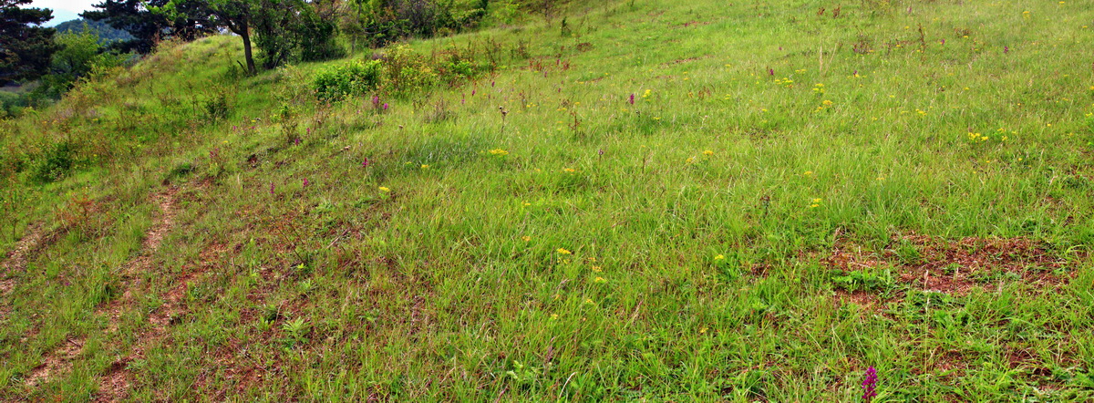 [Group 3]-2013_06_03_00017754_2013_06_03_00017760-2 images_Bildgr��e �ndern