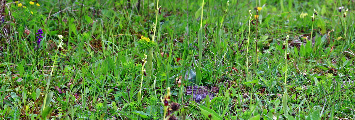 [Group 5]-2013_06_03_00017861_2013_06_03_00017868-4 images_Bildgr��e �ndern