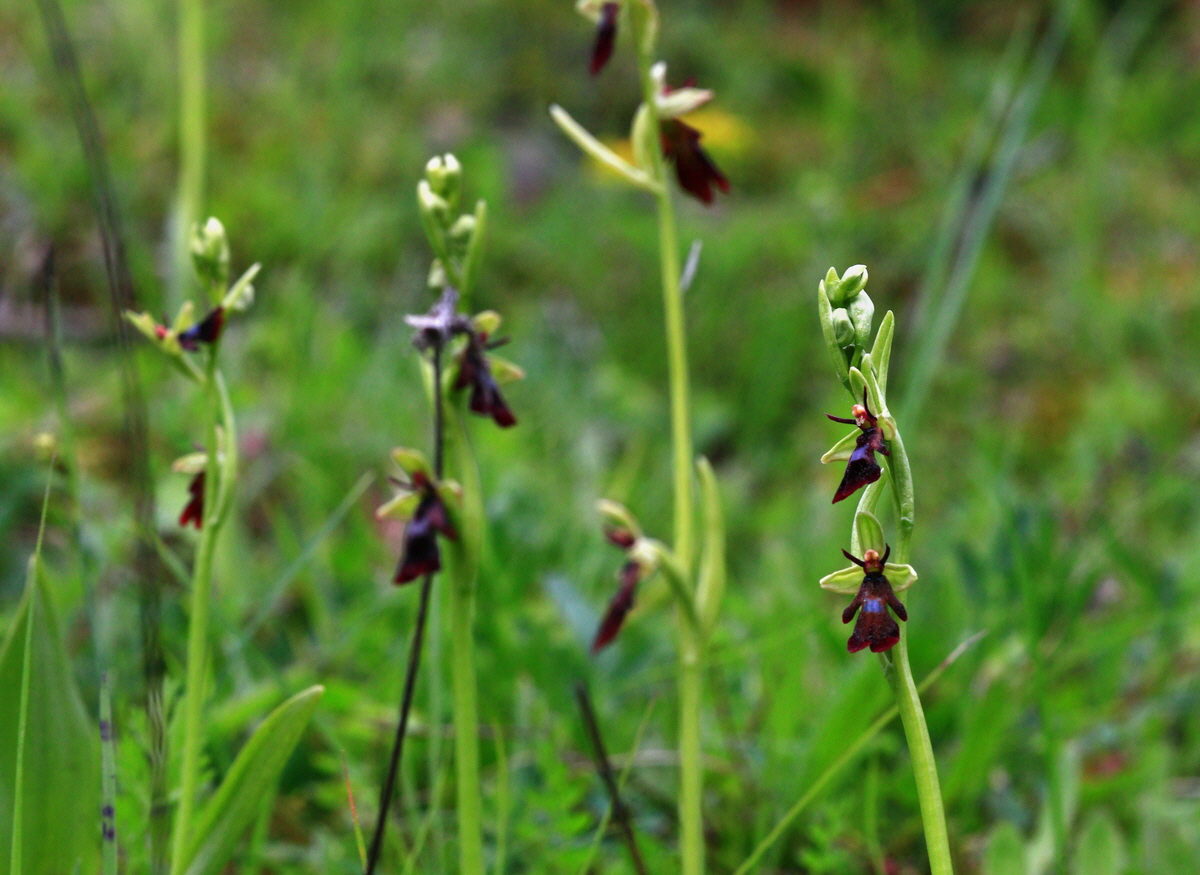 [Group 5]-2013_06_03_00017874_2013_06_03_00017881-2 images_Bildgr��e �ndern