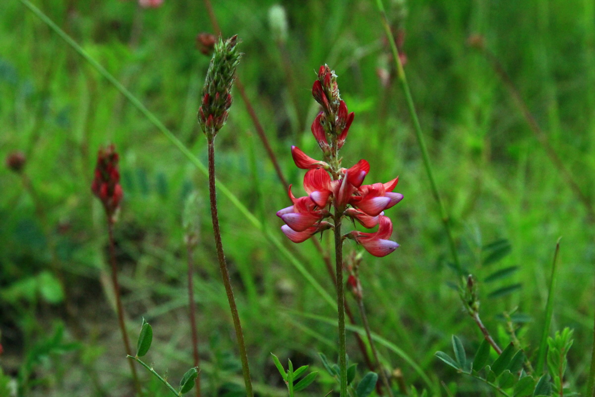 2013_06_03_00017725_Bildgr��e �ndern