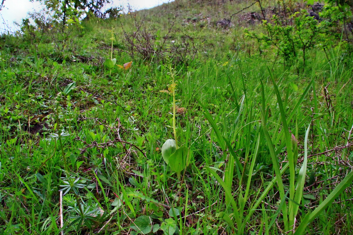 2013_06_03_00017730_Bildgr��e �ndern