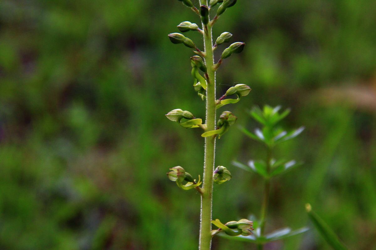 2013_06_03_00017734_Bildgr��e �ndern