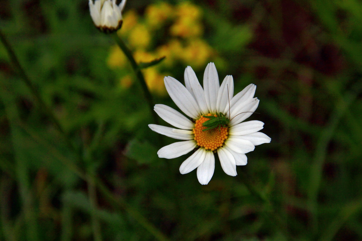 2013_06_03_00017745_Bildgr��e �ndern