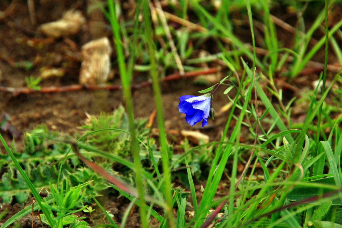 2013_06_03_00017749_Bildgr��e �ndern