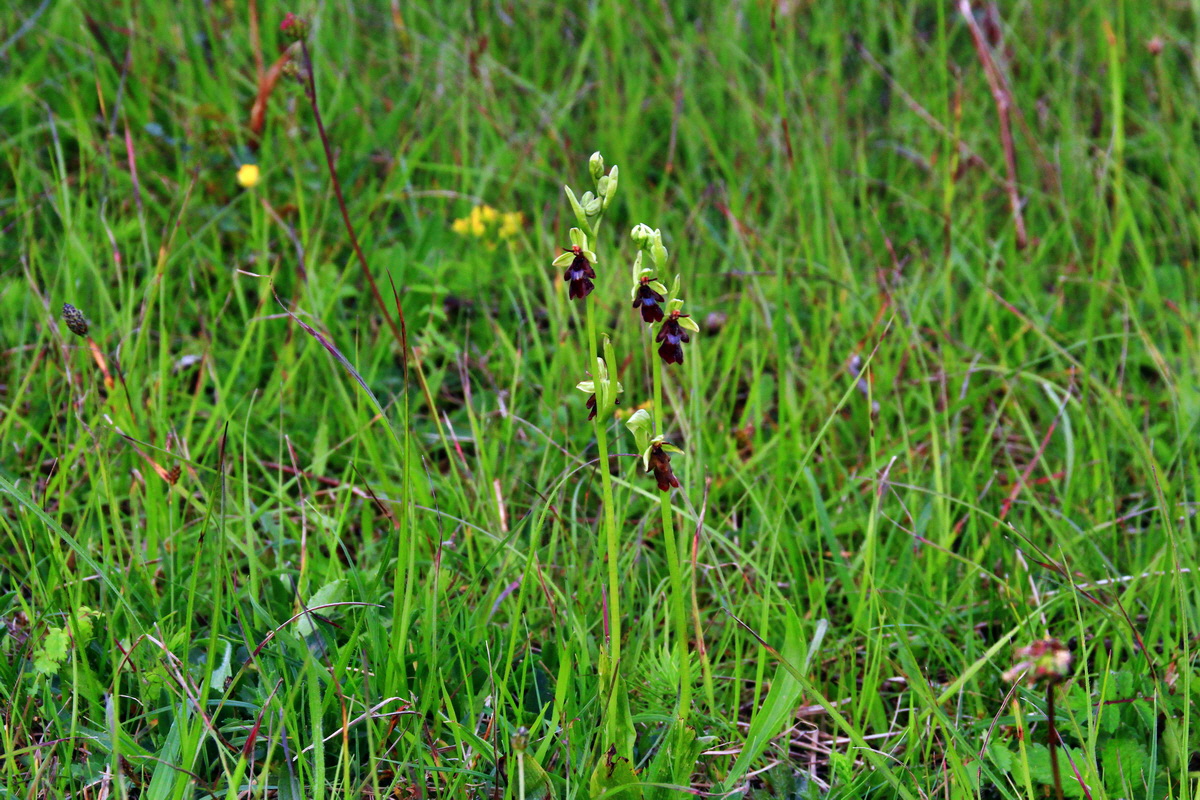 2013_06_03_00017770_Bildgr��e �ndern