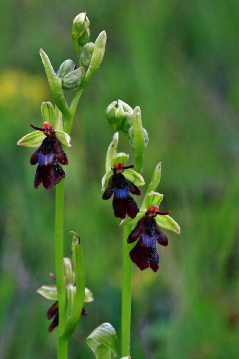 2013_06_03_00017791_Bildgr��e �ndern