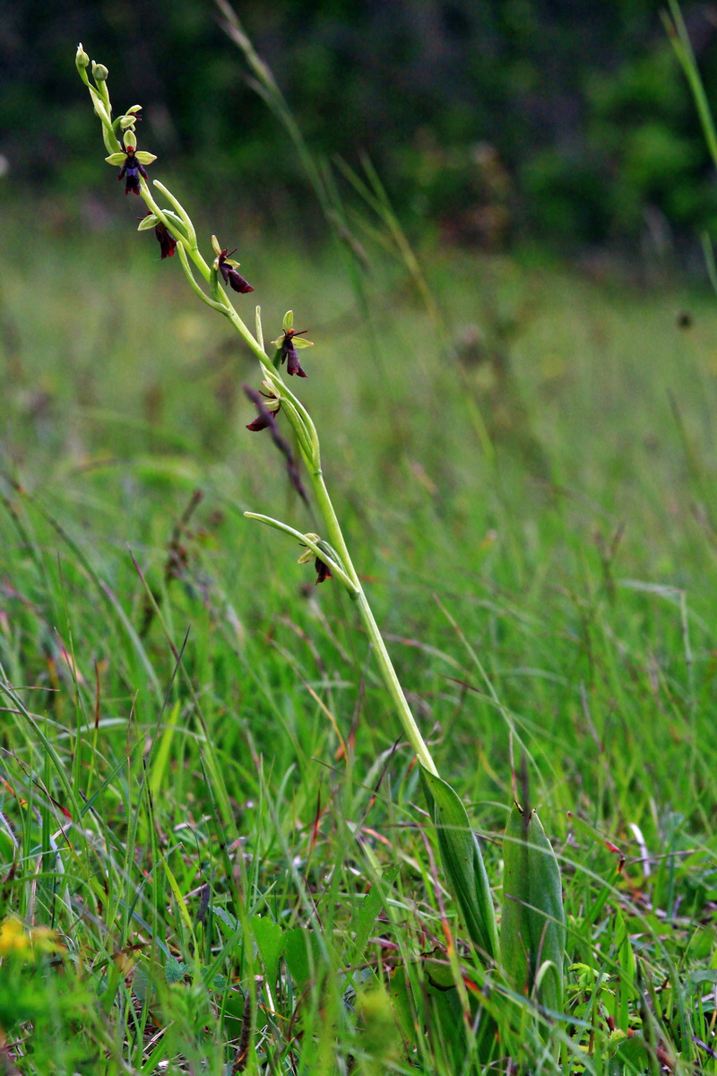 2013_06_03_00017800_Bildgr��e �ndern