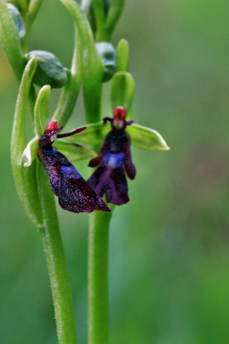 2013_06_03_00017843_Bildgr��e �ndern