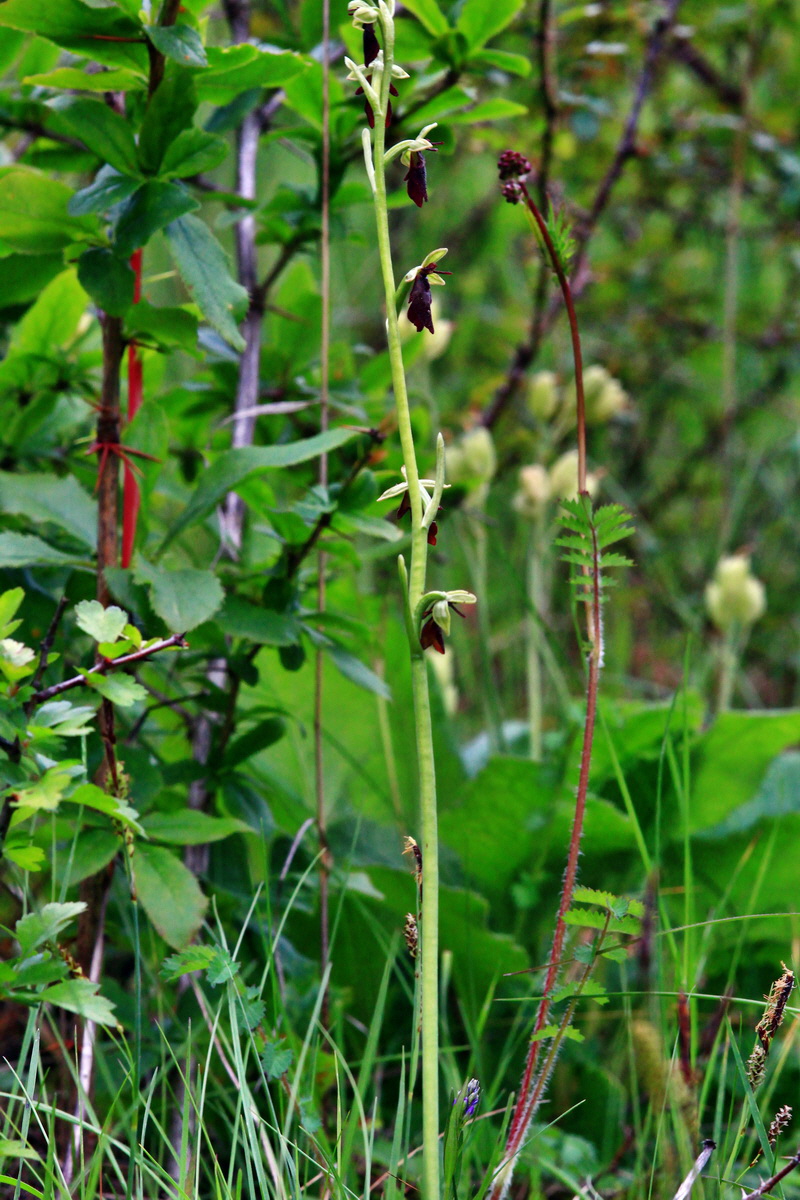 2013_06_03_00017848_Bildgr��e �ndern