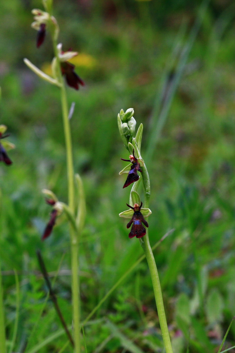 2013_06_03_00017876_Bildgr��e �ndern