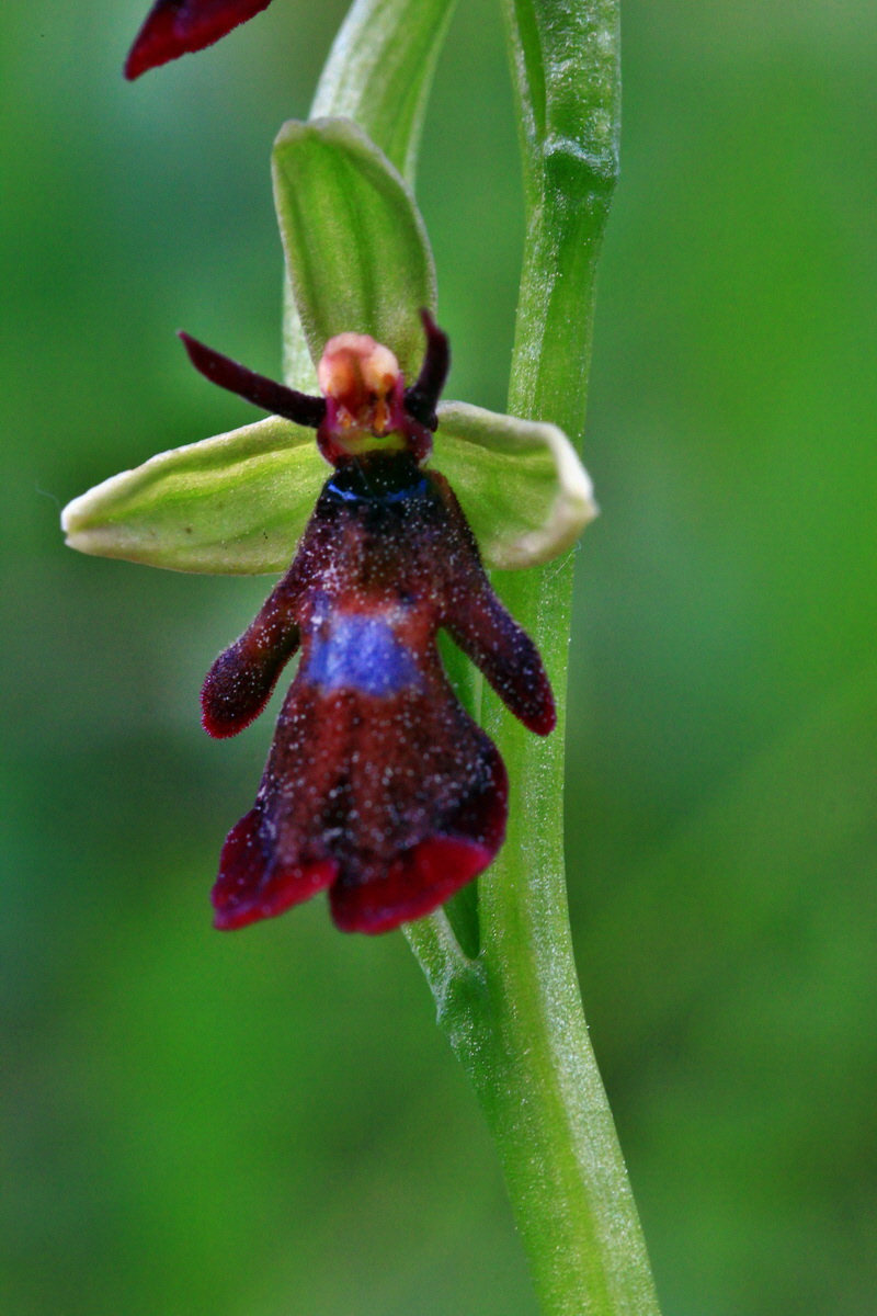 2013_06_03_00017884_Bildgr��e �ndern